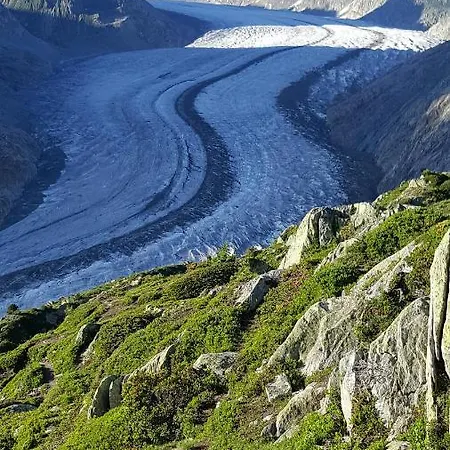 Alouette Appartamento Riederalp