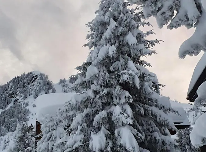 Alouette * Riederalp