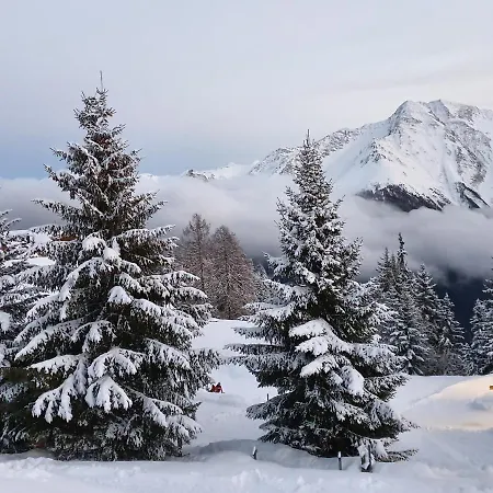 Appartement Alouette Riederalp