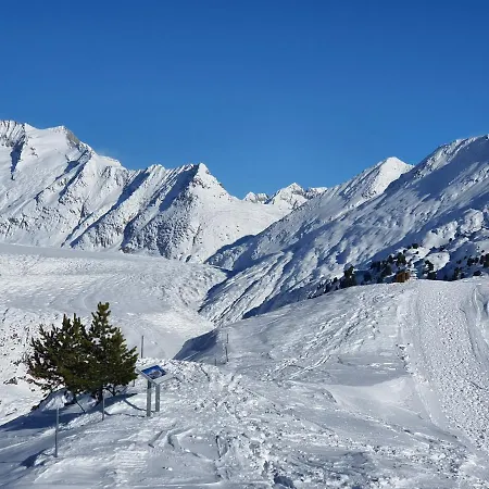Apartment Alouette Riederalp