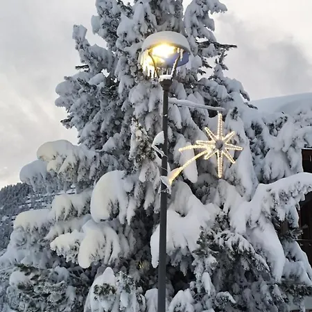 Apartment Alouette Riederalp