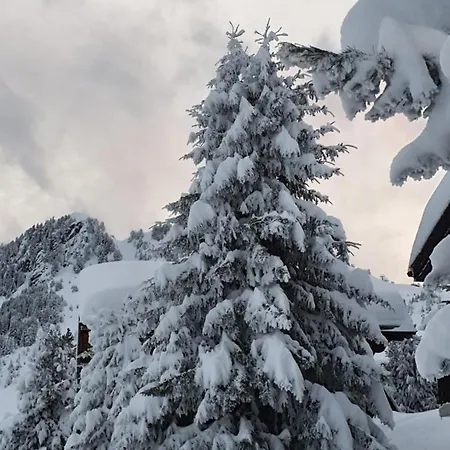 Alouette * Riederalp